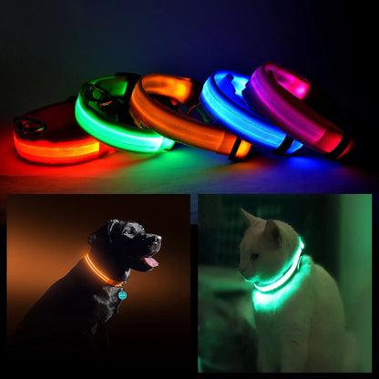LED PET Safety Halo Style Collar - Pack Of: 1
